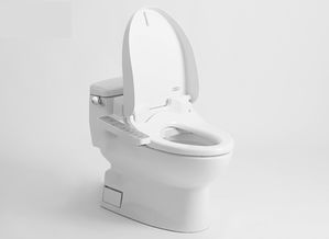 提升如厕幸福感 2024年智能马桶品牌排行榜与选购指南